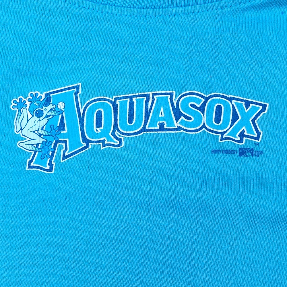 🛑CLEARANCE‼️ MiLB Everett Aquasox Northwest League Vintage’00’s teal T